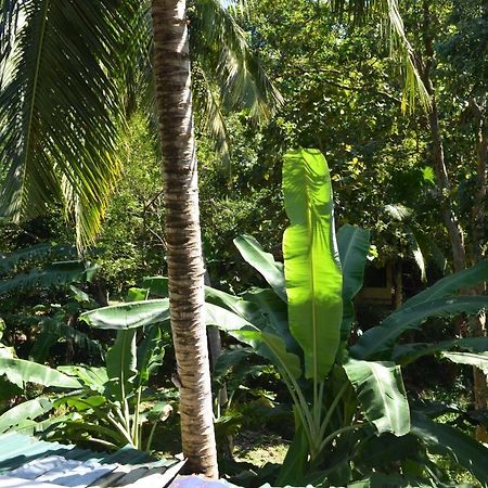 أونا واتونا Hansa Villa المظهر الخارجي الصورة
