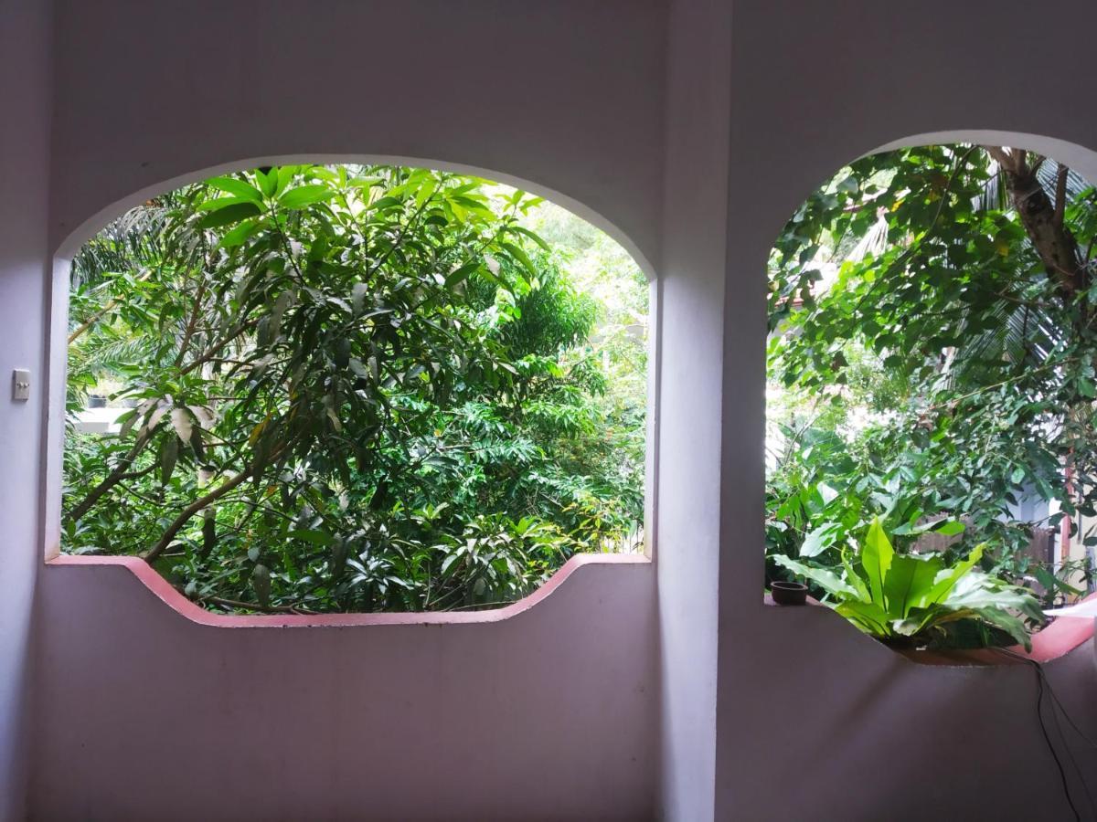 أونا واتونا Hansa Villa المظهر الخارجي الصورة