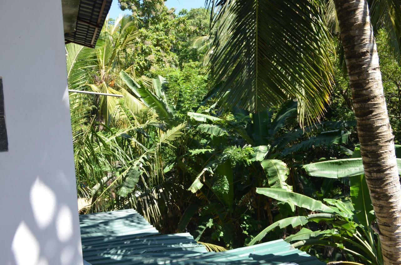أونا واتونا Hansa Villa المظهر الخارجي الصورة