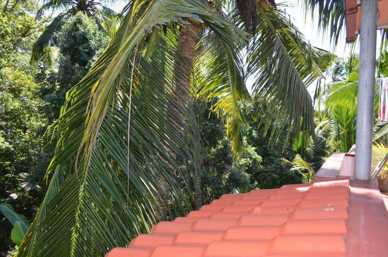 أونا واتونا Hansa Villa المظهر الخارجي الصورة