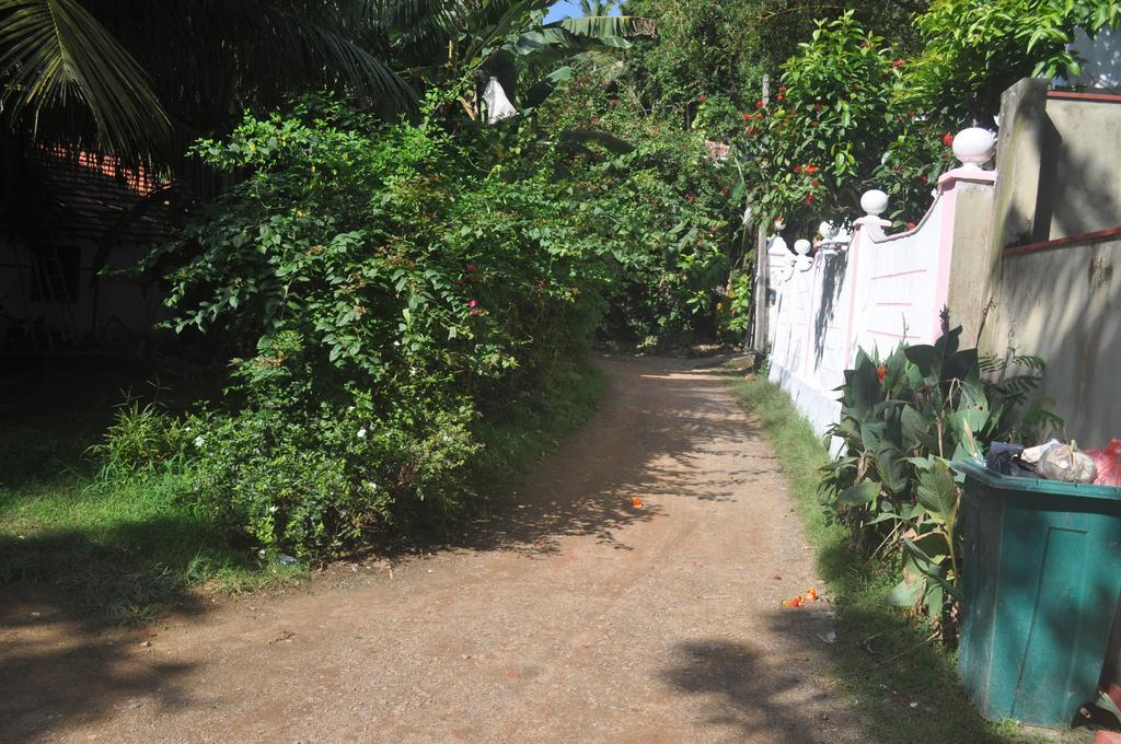 أونا واتونا Hansa Villa المظهر الخارجي الصورة